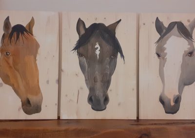 Ann’s Horses