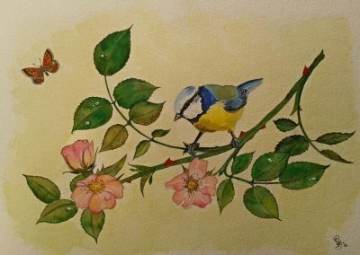 Dog, Rose & Blue Tit