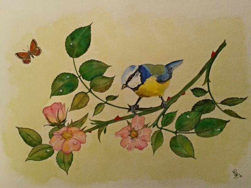 Wildlfe Art by Ruth Burden - Dog, Rose & Bluetit